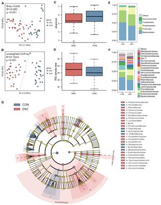 Dysbiosis of Gut Microbiota and Short-Chain Fatty Acids in Encephalitis: A Chinese Pilot Study